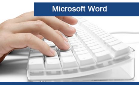 microsoft word cursus